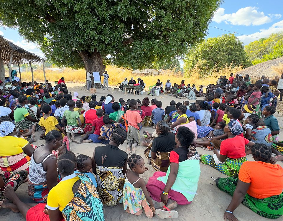 Participatory-Village-Level-Governance Participatory-Village-Level-Governance